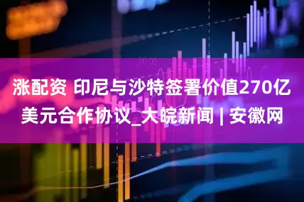 涨配资 印尼与沙特签署价值270亿美元合作协议_大皖新闻 | 安徽网